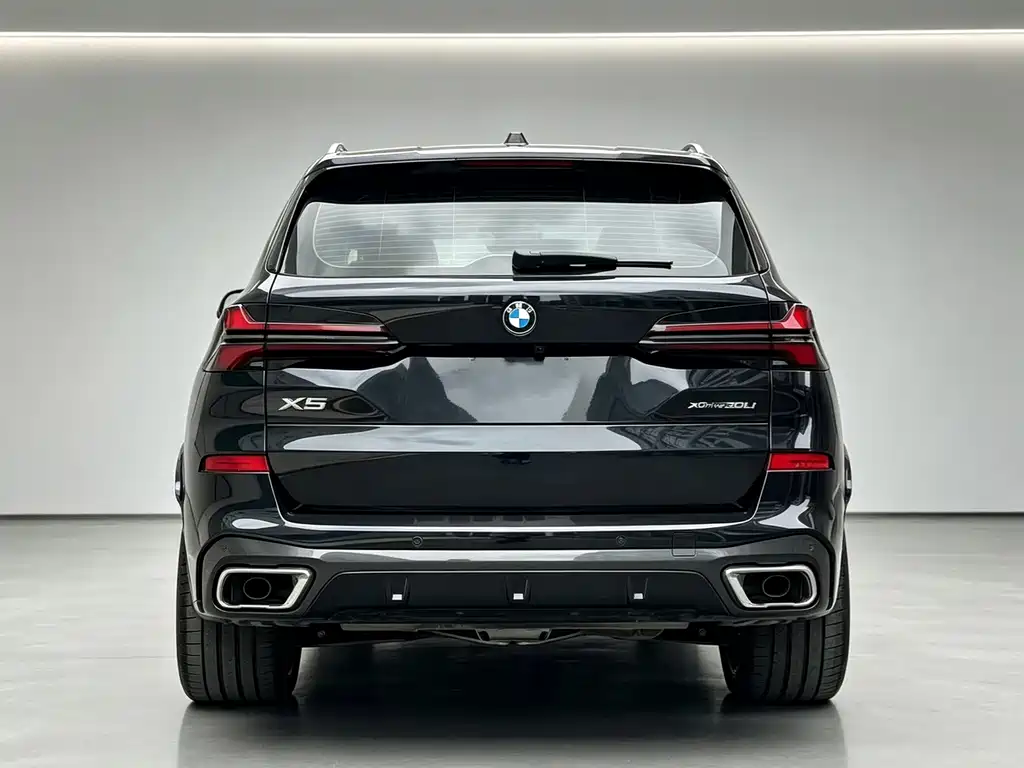 BMW X5 — миниатюра 3