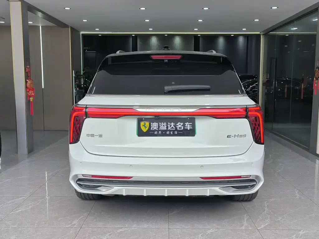 Hongqi Hongqi E-HS9 — миниатюра 22