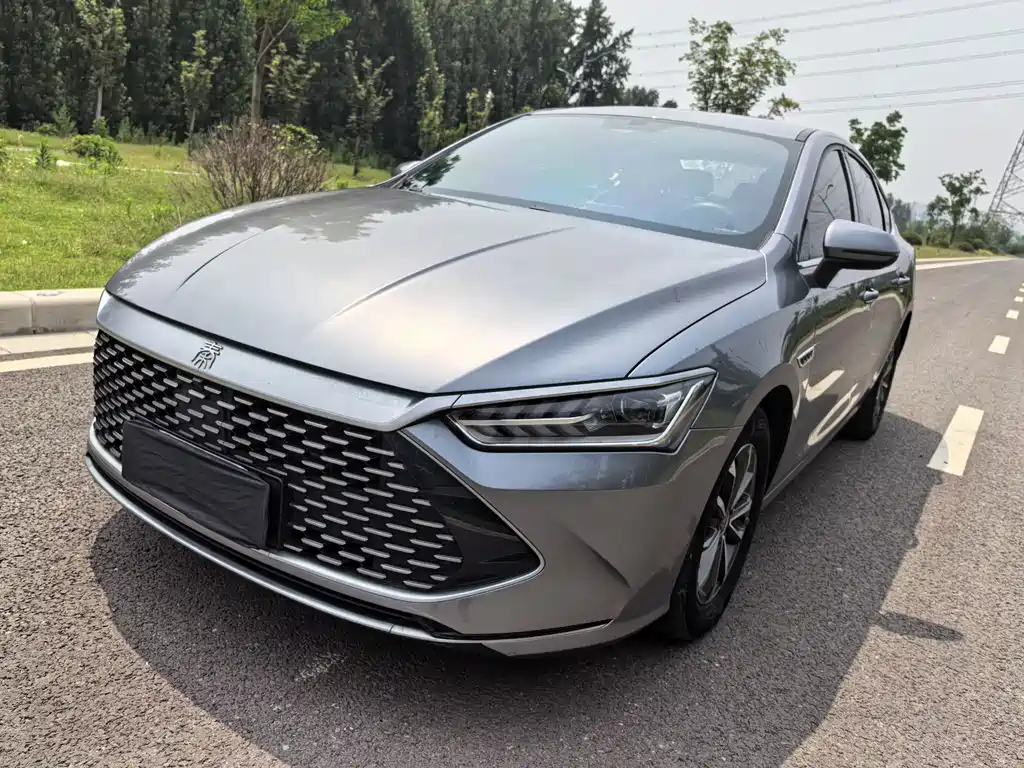 BYD Qin Plus PLUS 2021 DM-i 55KM Luxury