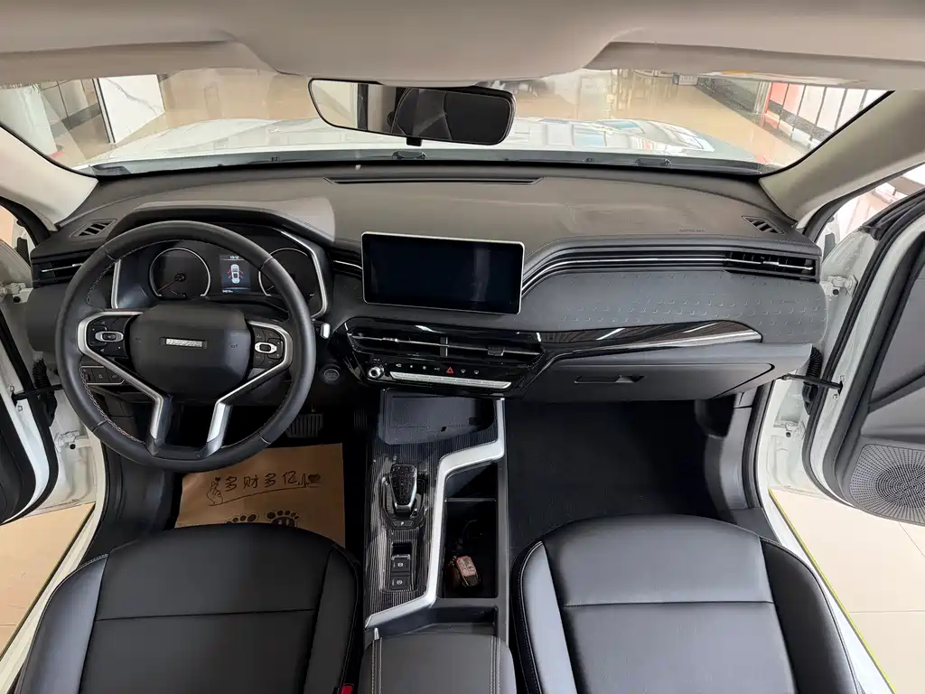 Haval Chitu Dynamic Enjoy Edition 1.5T Brass Rabbit, фото 44
