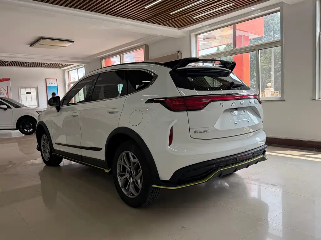 Haval Chitu Dynamic Enjoy Edition 1.5T Brass Rabbit, фото 32