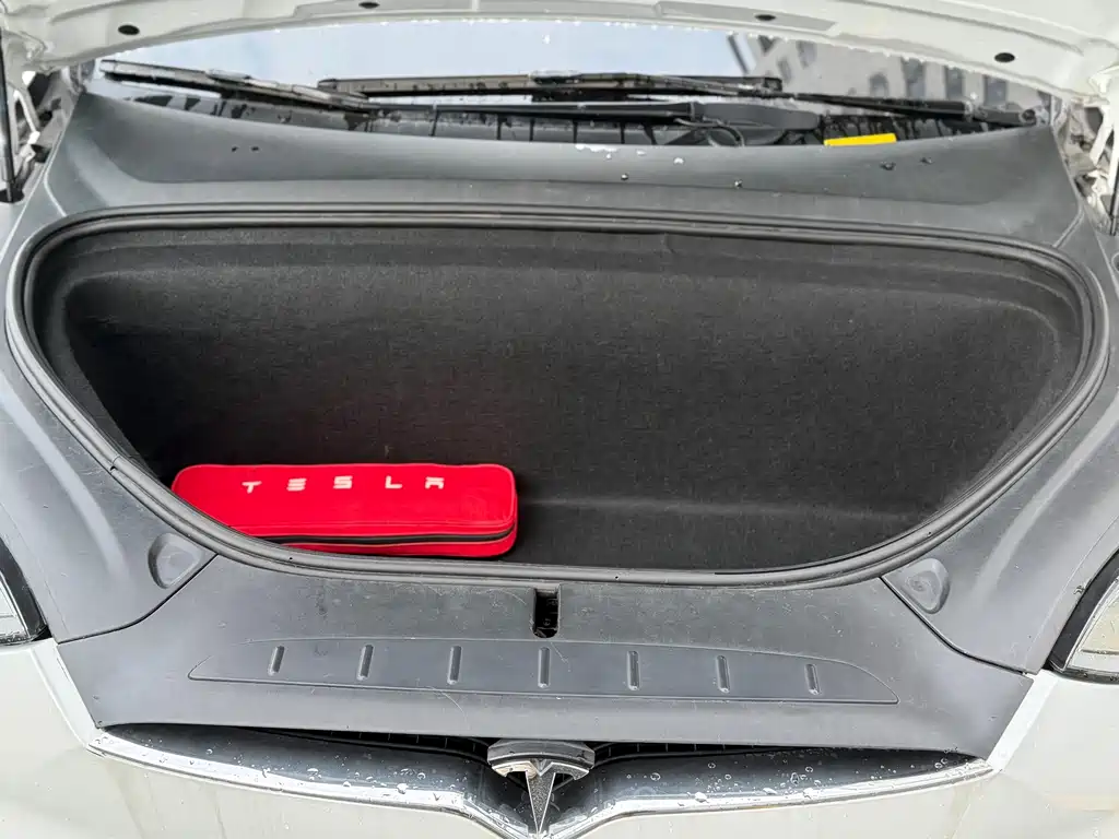 Tesla Model X — миниатюра 24