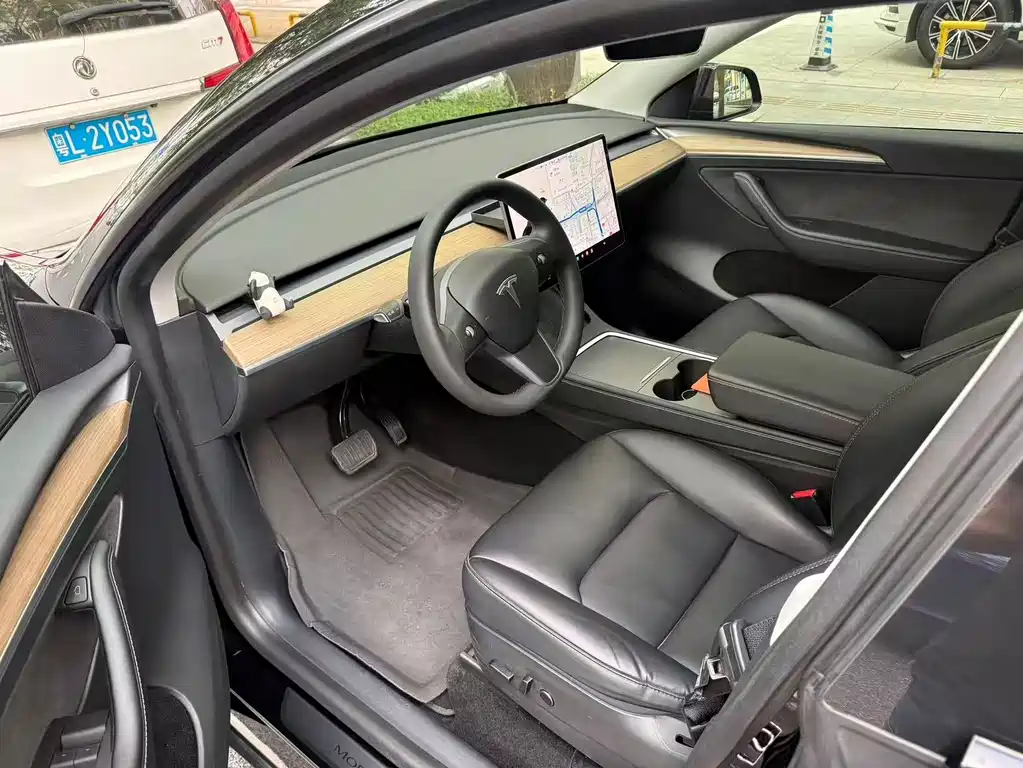 Tesla Model Y — миниатюра 2