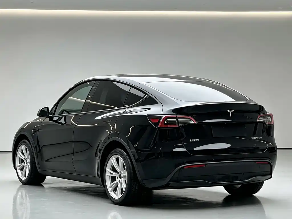 Tesla Model Y — миниатюра 7
