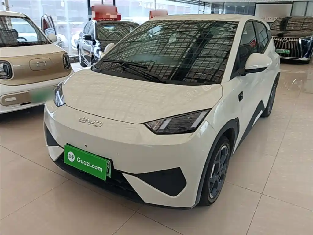 Byd Seagull 2025