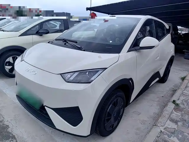 2026 BYD Seagull