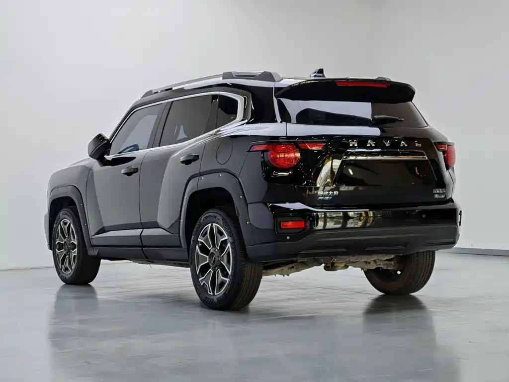 Haval Big Dog PLUS New Energy — миниатюра 13