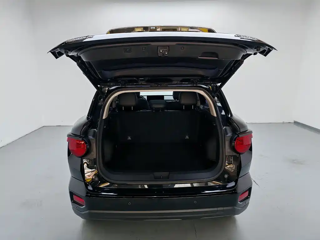 Haval Big Dog PLUS New Energy — миниатюра 15