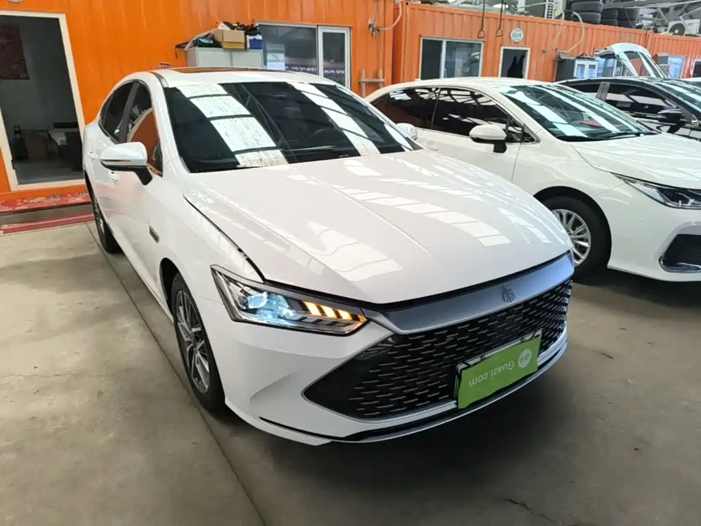 BYD Qin Plus PLUS 2023 Champion DM-i 55KM