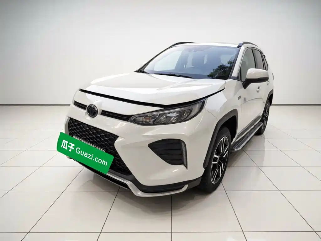 Toyota Wildlander New Energy
