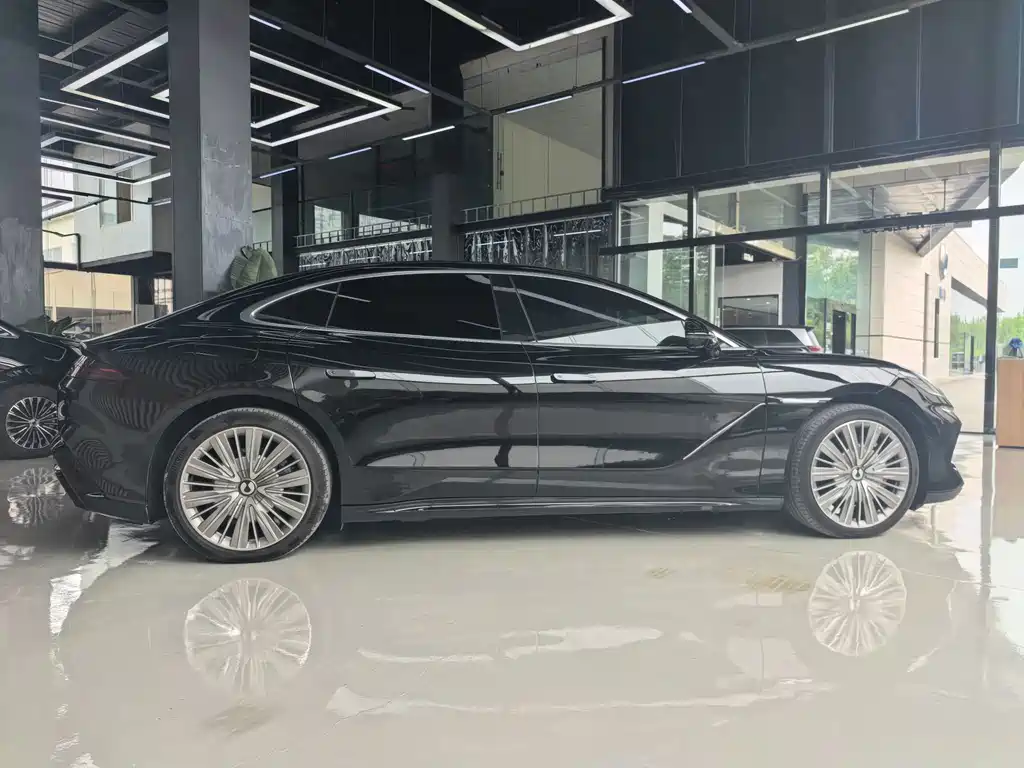 Denza Denza Z9 — миниатюра 14