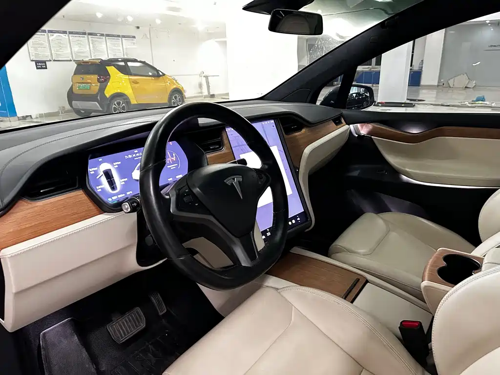 Tesla Model X — миниатюра 10