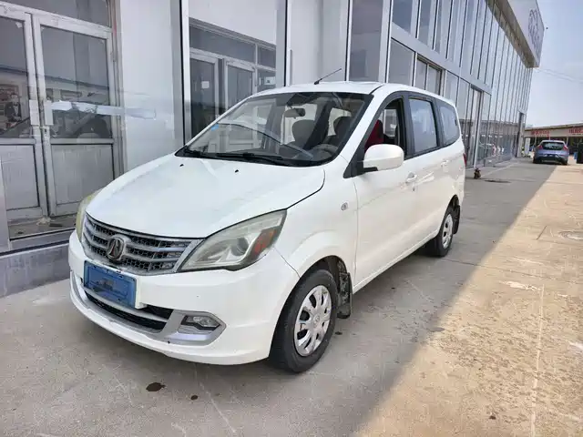 2015 BAIC Weiwang M20