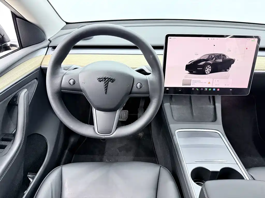 Tesla Model Y — миниатюра 8