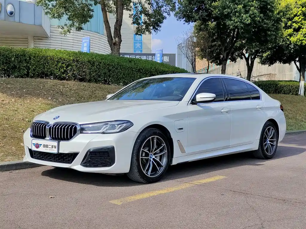 BMW 5 Series New Energy 2022