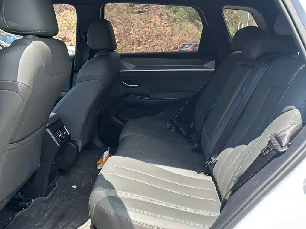BYD Song Pro Pro 2025 Smart Drive DM-i 75KM Lead