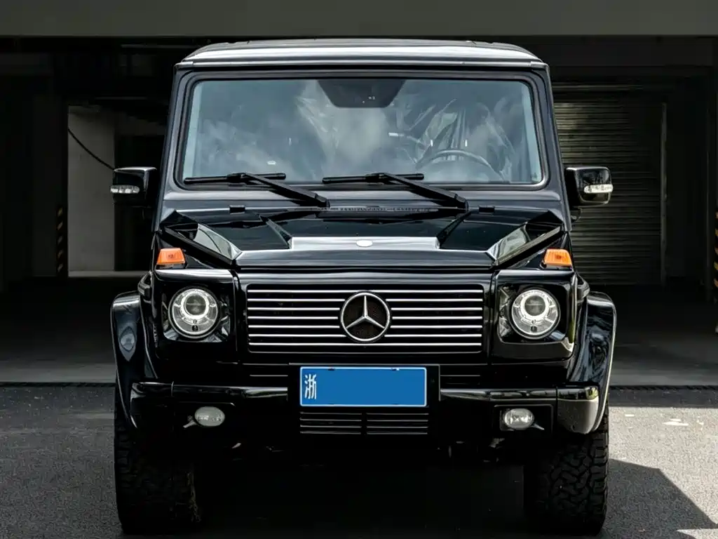 Mercedes-Benz G-Class A MG G AMG 2009 AMG G 55