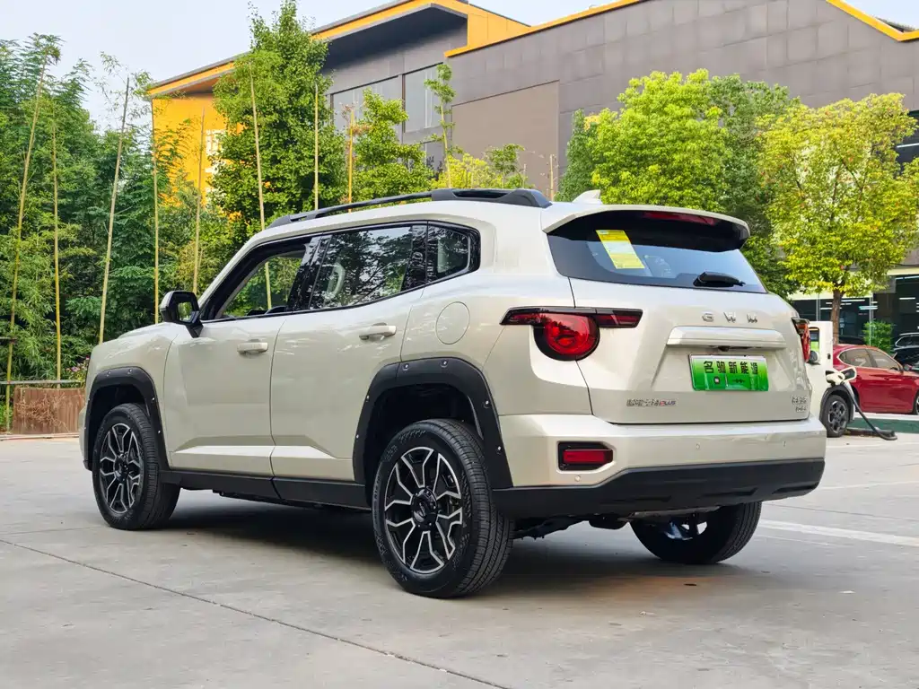 Haval Big Dog PLUS New Energy — миниатюра 3