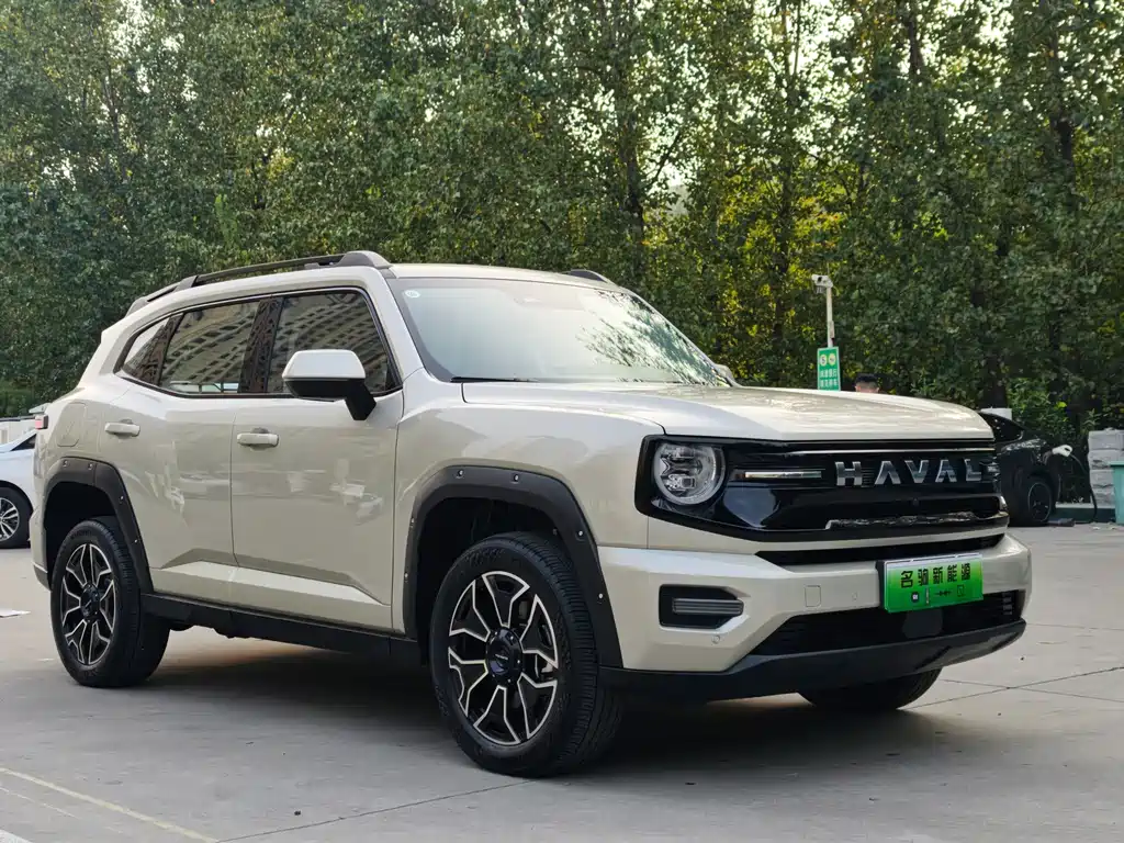 Haval Big Dog PLUS New Energy — миниатюра 4