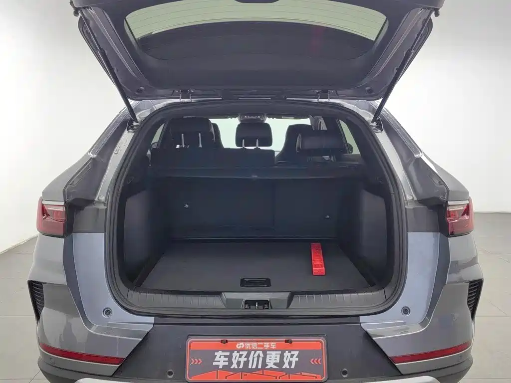 BYD PLUS — миниатюра 16