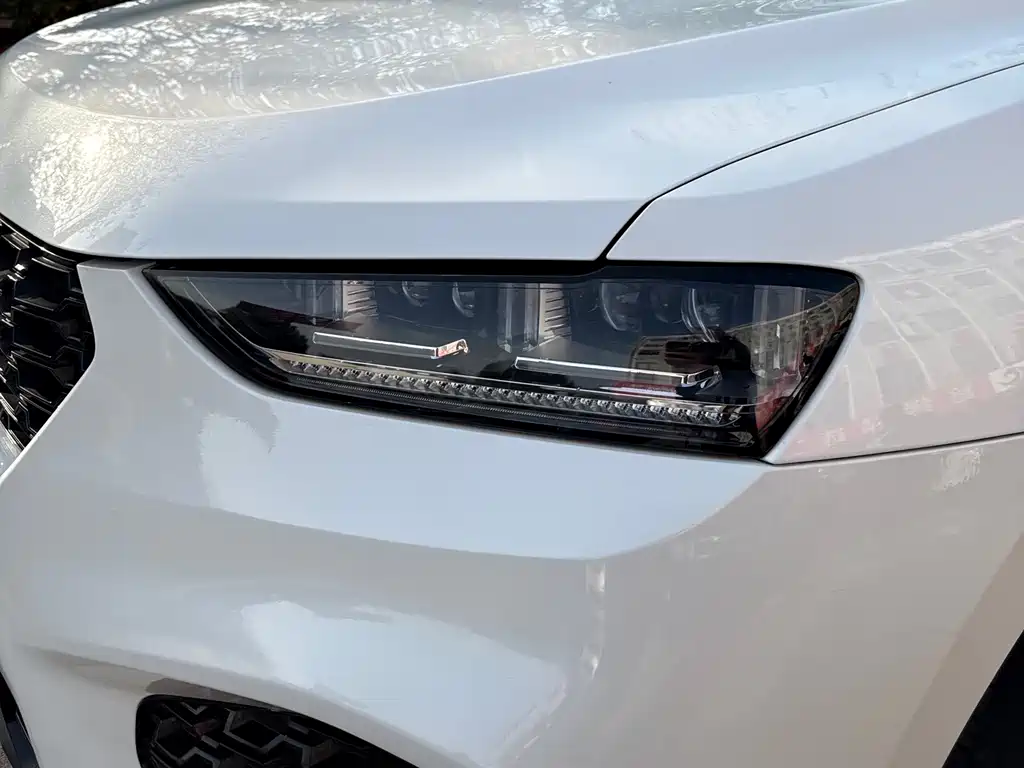 WEI PAI WEI BRAND VV7