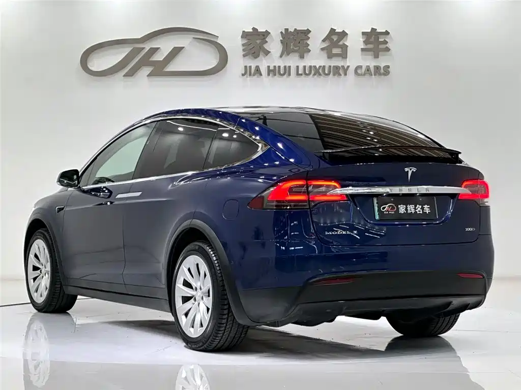 Tesla Model X 2017 Model X 100D