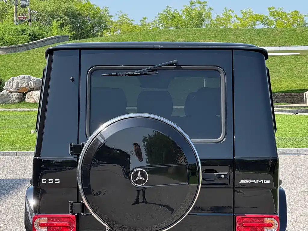 Mercedes-Benz G-Class A MG G AMG 2009 AMG G 55