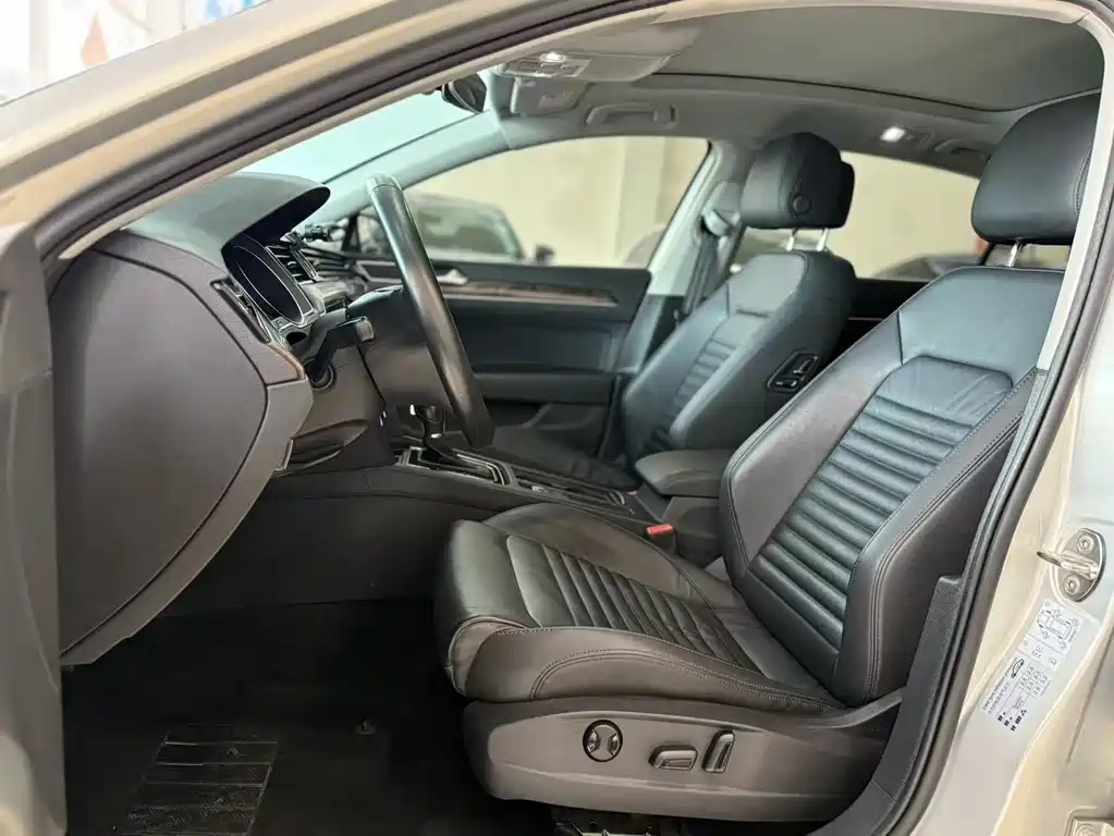 Volkswagen Magotan 2019 330TSI DSG Luxury VI