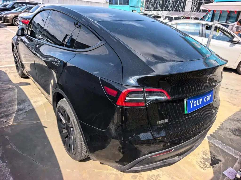 Tesla Model Y — миниатюра 4