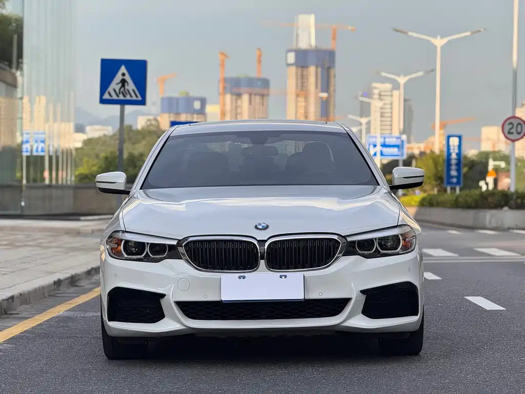 BMW 5 Series 5 2019 530Li Lead M Sport