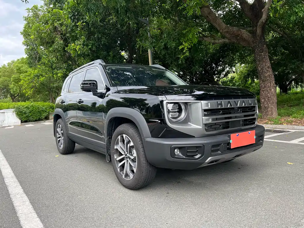 HAVAL BIG DOG