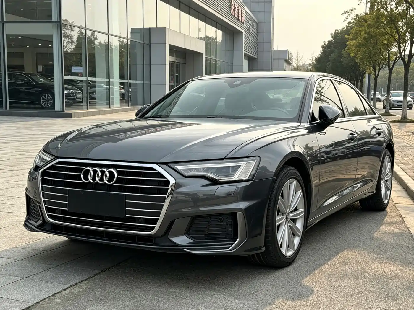 奥迪A6L 2020款 45 TFSI 臻选动感型 2020