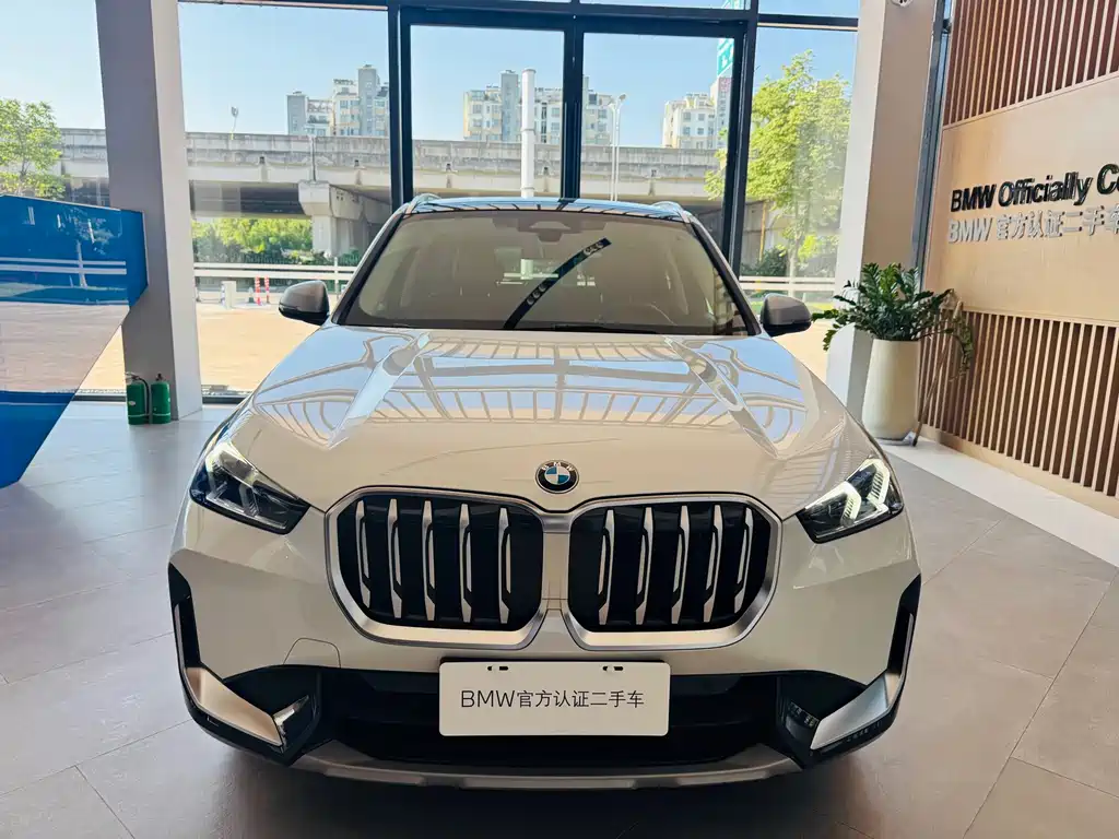 BMW X1 — миниатюра 2
