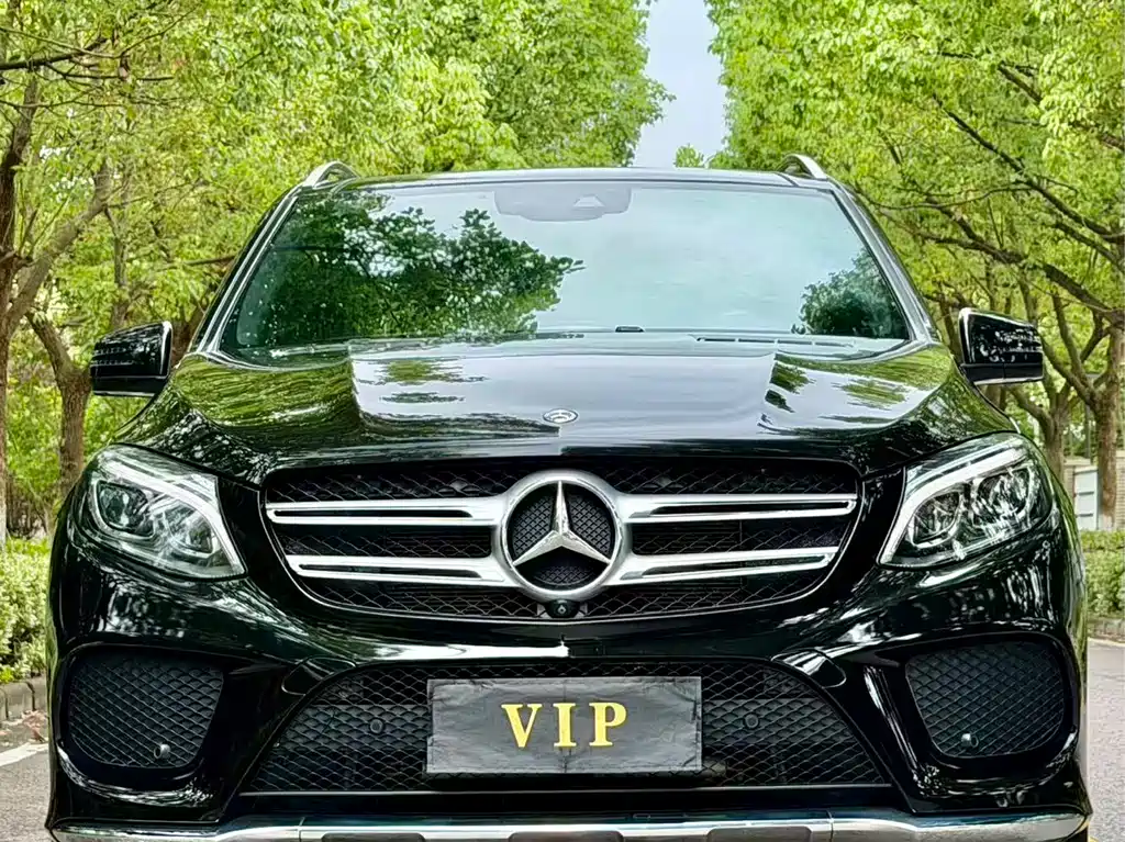 Mercedes-Benz GLE 2019 GLE 320 4MATIC