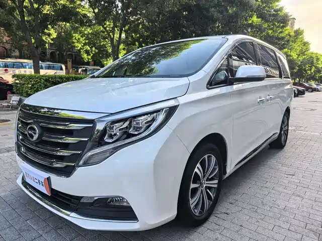 2018 GAC GN8