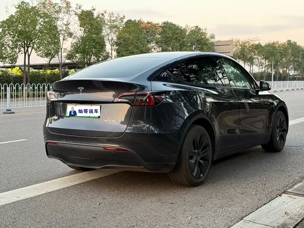 Tesla Model Y — миниатюра 9