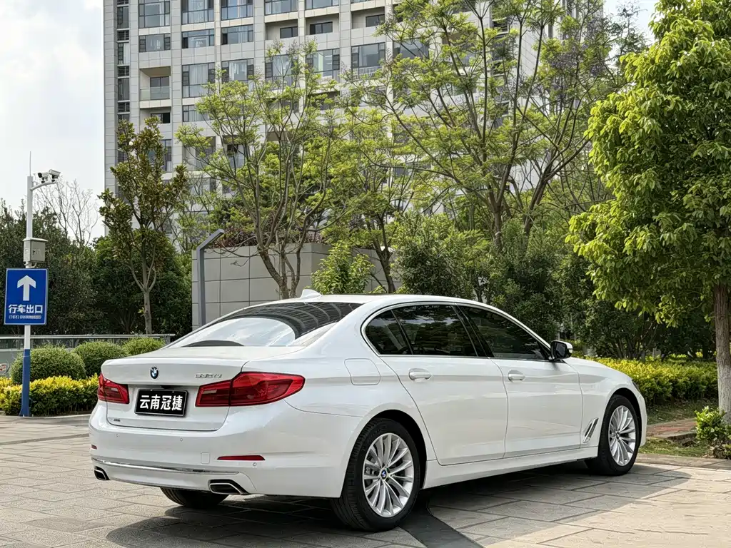 BMW 5 Series 5 2020 530Li xDrive Luxury