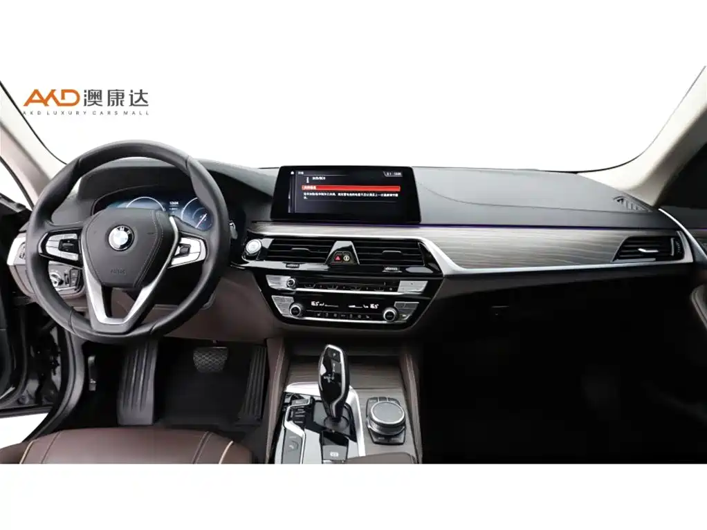 BMW 5 Series New Energy — миниатюра 5