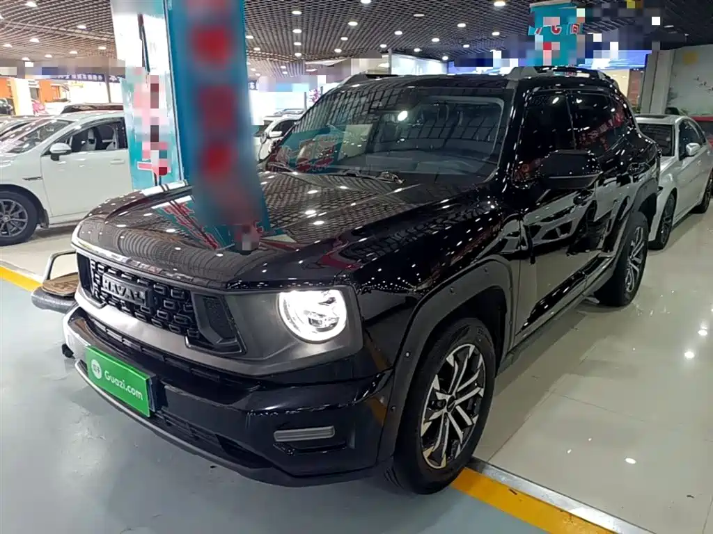 Haval 哈弗大狗 PLUS 2024