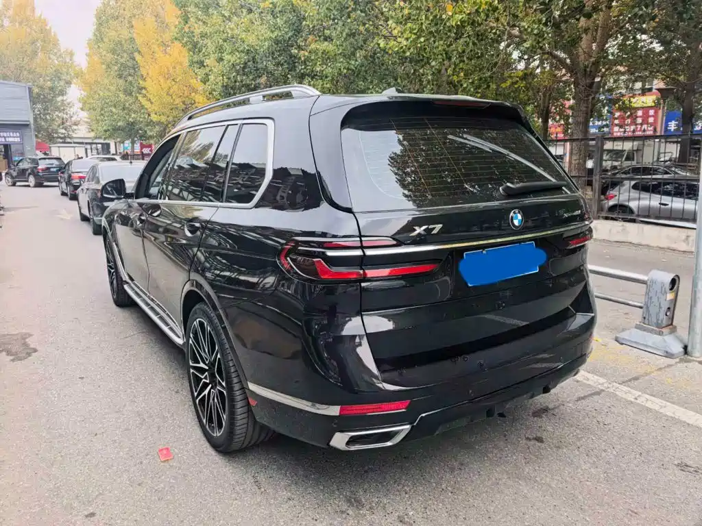 BMW X7 — миниатюра 2