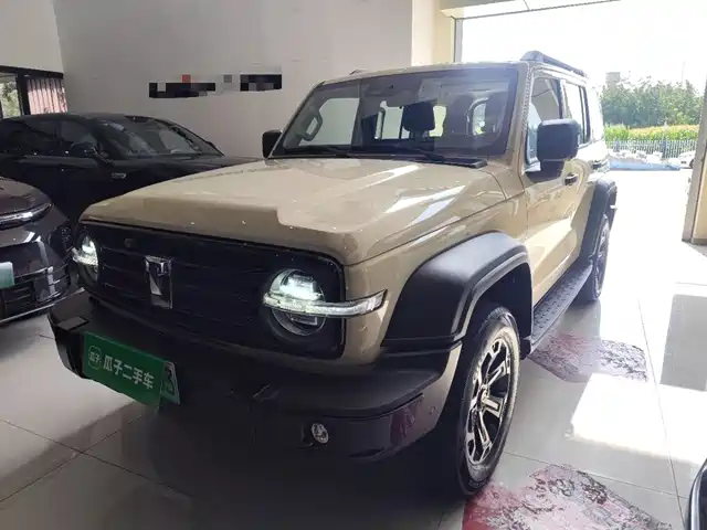 2025 TANK 300