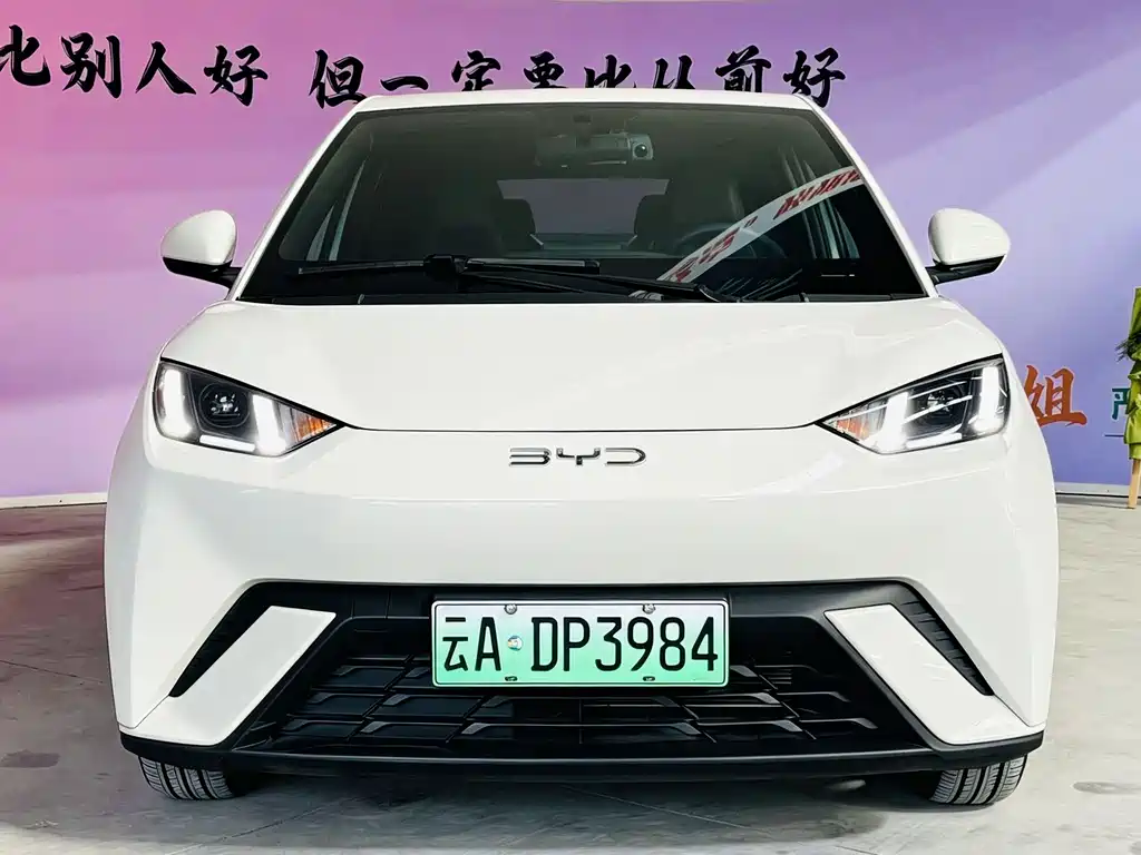 BYD Seagull 2023 Freedom