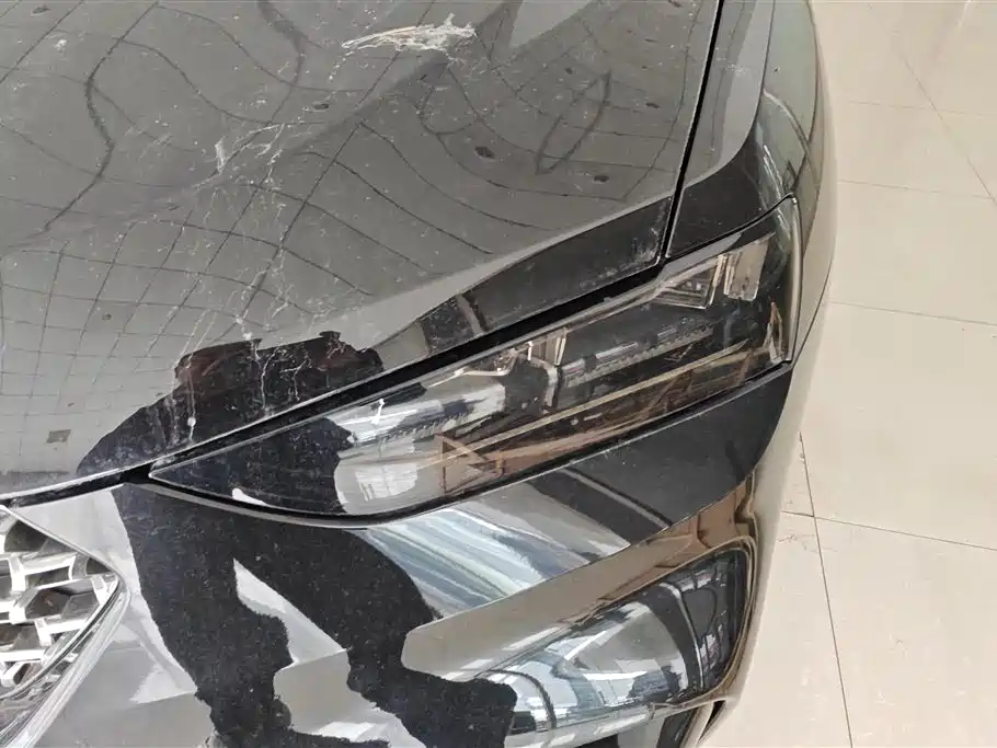 WEI PAI WEI BRAND VV7