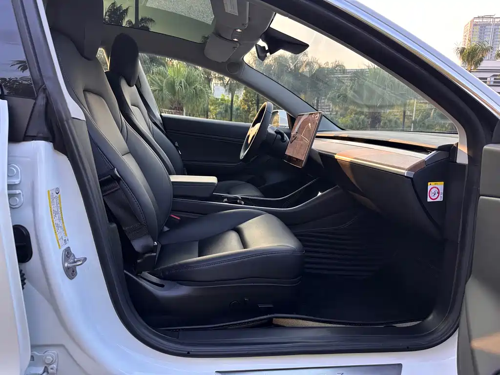 Tesla Model 3 — миниатюра 22