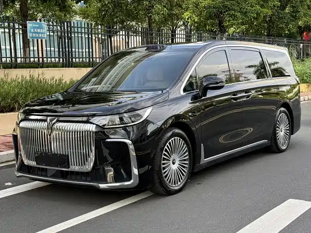 2024 Voyah Dream