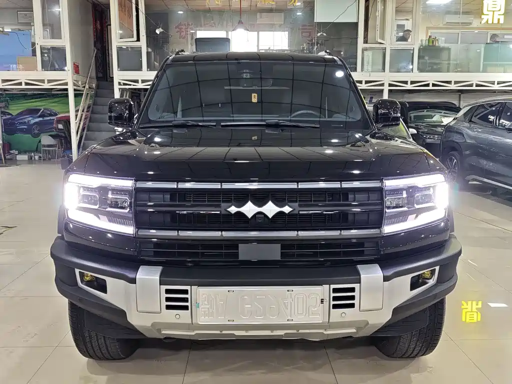 FANG CHENG BAO LEOPARD 5