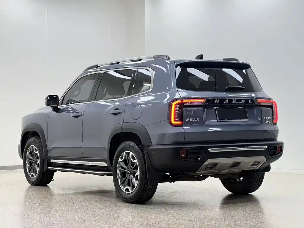 Haval Big Dog — миниатюра 7