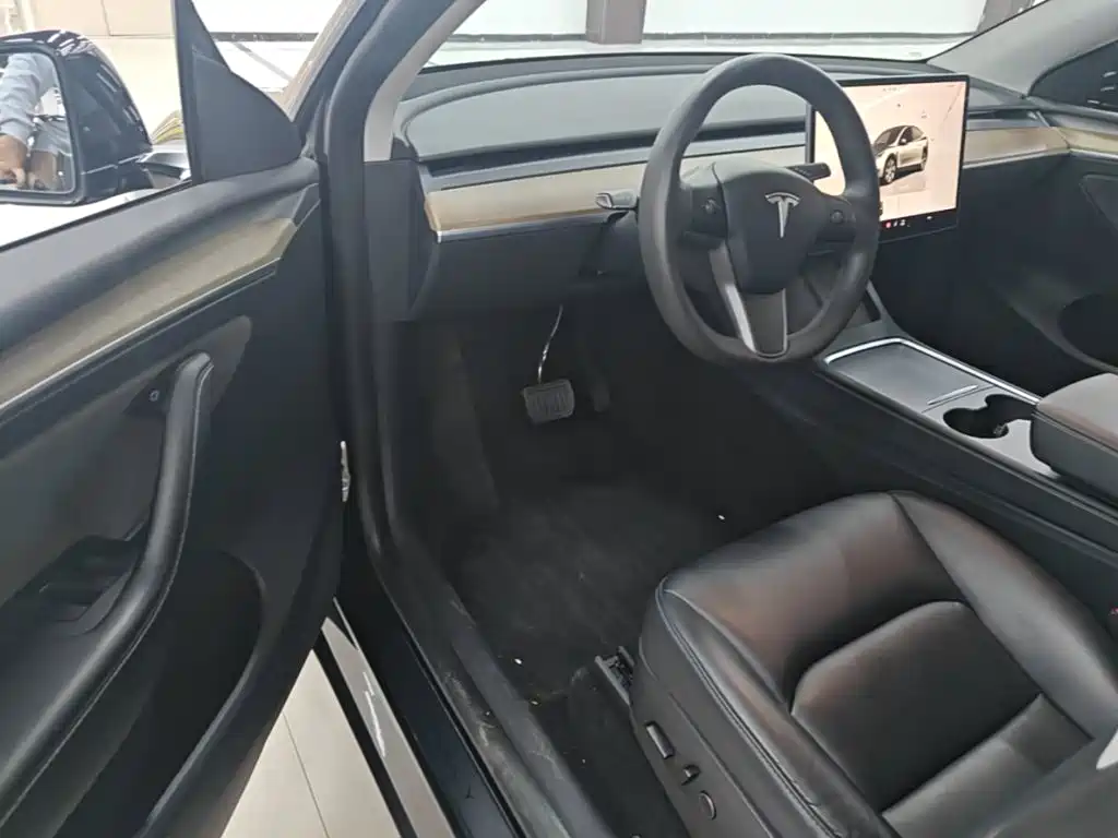 Tesla Model Y — миниатюра 16