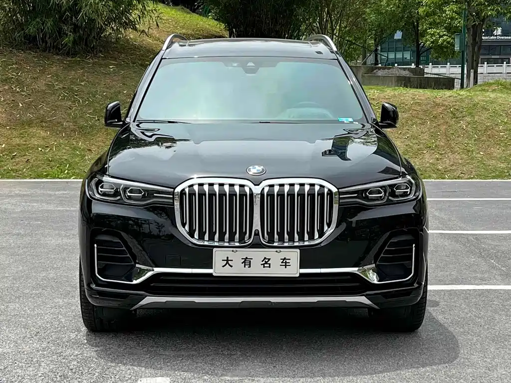 BMW X7 — миниатюра 4