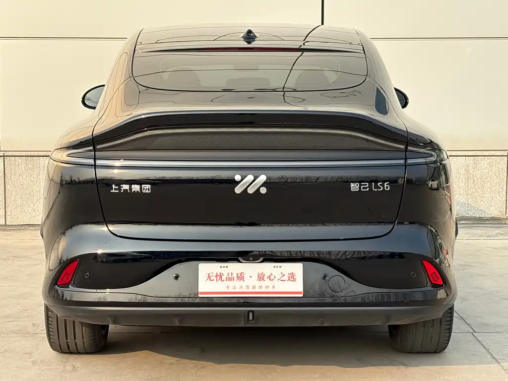 ZHIJI AUTOMOBILE ZHIJI LS6